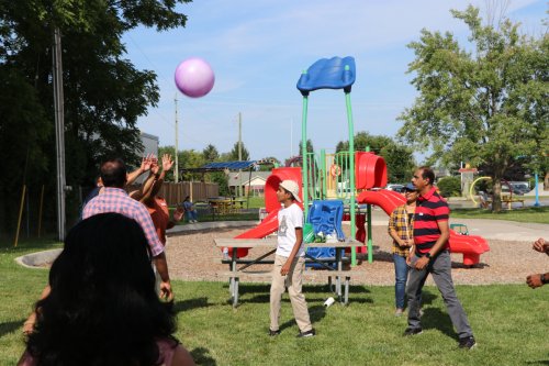IMG 4978